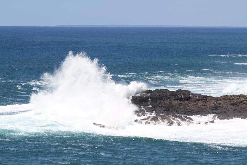 Sea Whispers Bed & Breakfast Kiama Exterior photo